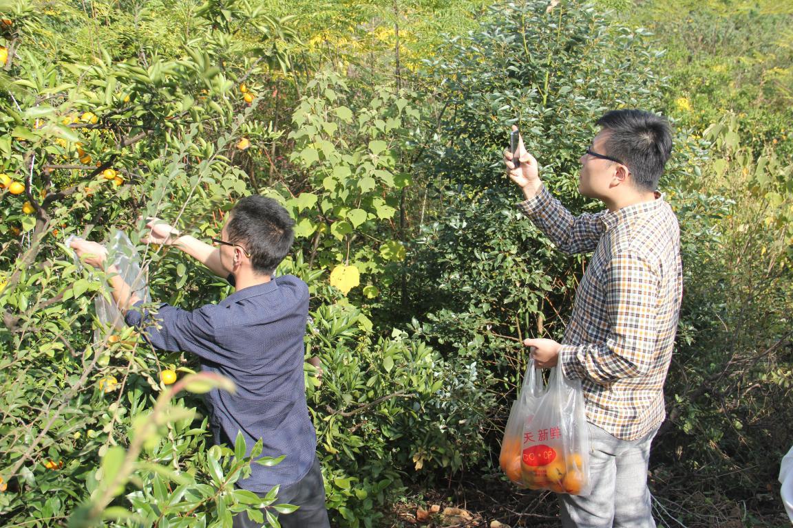 Manbetx(万博)体育