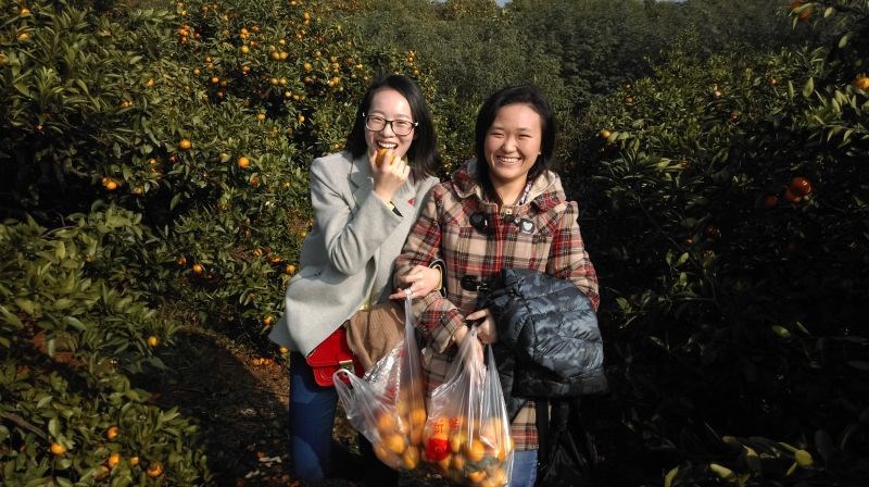 Manbetx(万博)体育