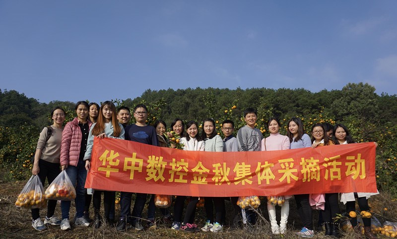 Manbetx(万博)体育